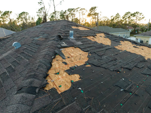 Best Storm Damage Roof Repair  in Appalachia, VA